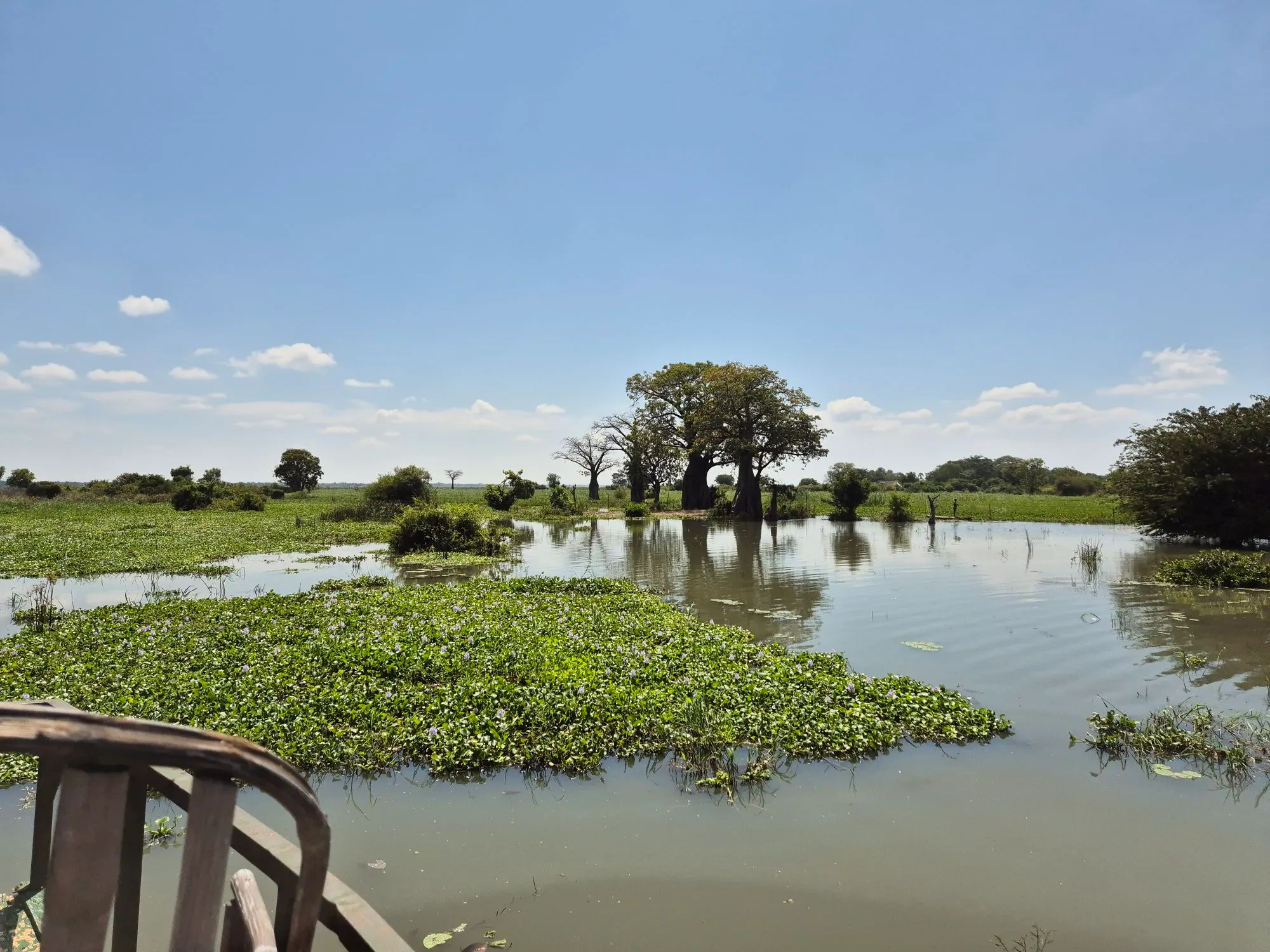Lago con vegetazione rigogliosa e alberi sotto un cielo azzurro, riflesso nell'acqua calma di un paesaggio naturale.