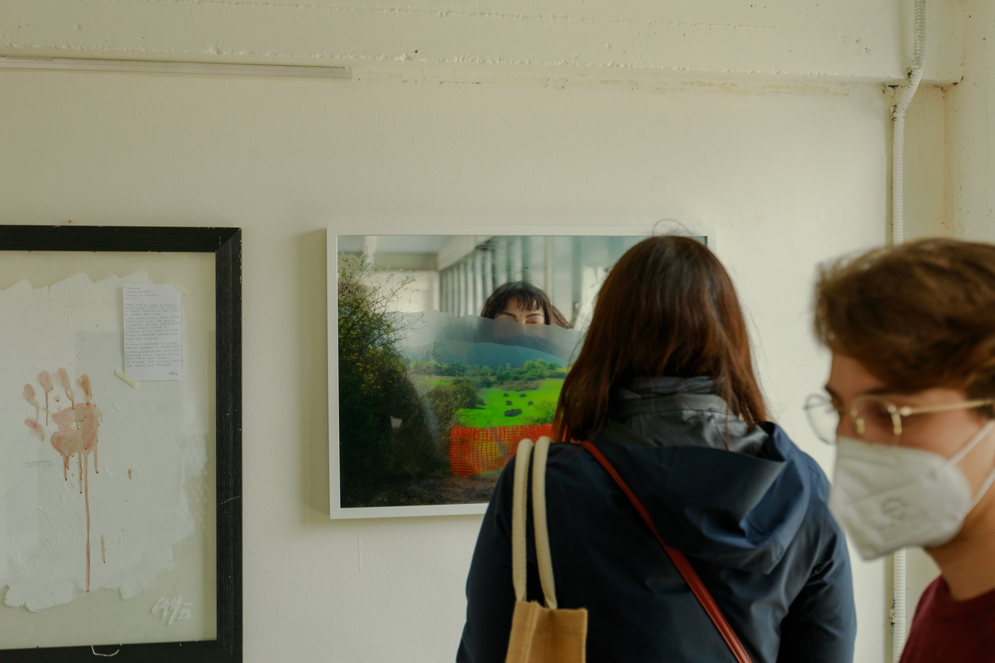 Persona osserva un quadro in una galleria d'arte, con riflesso e dettagli di paesaggio verde.