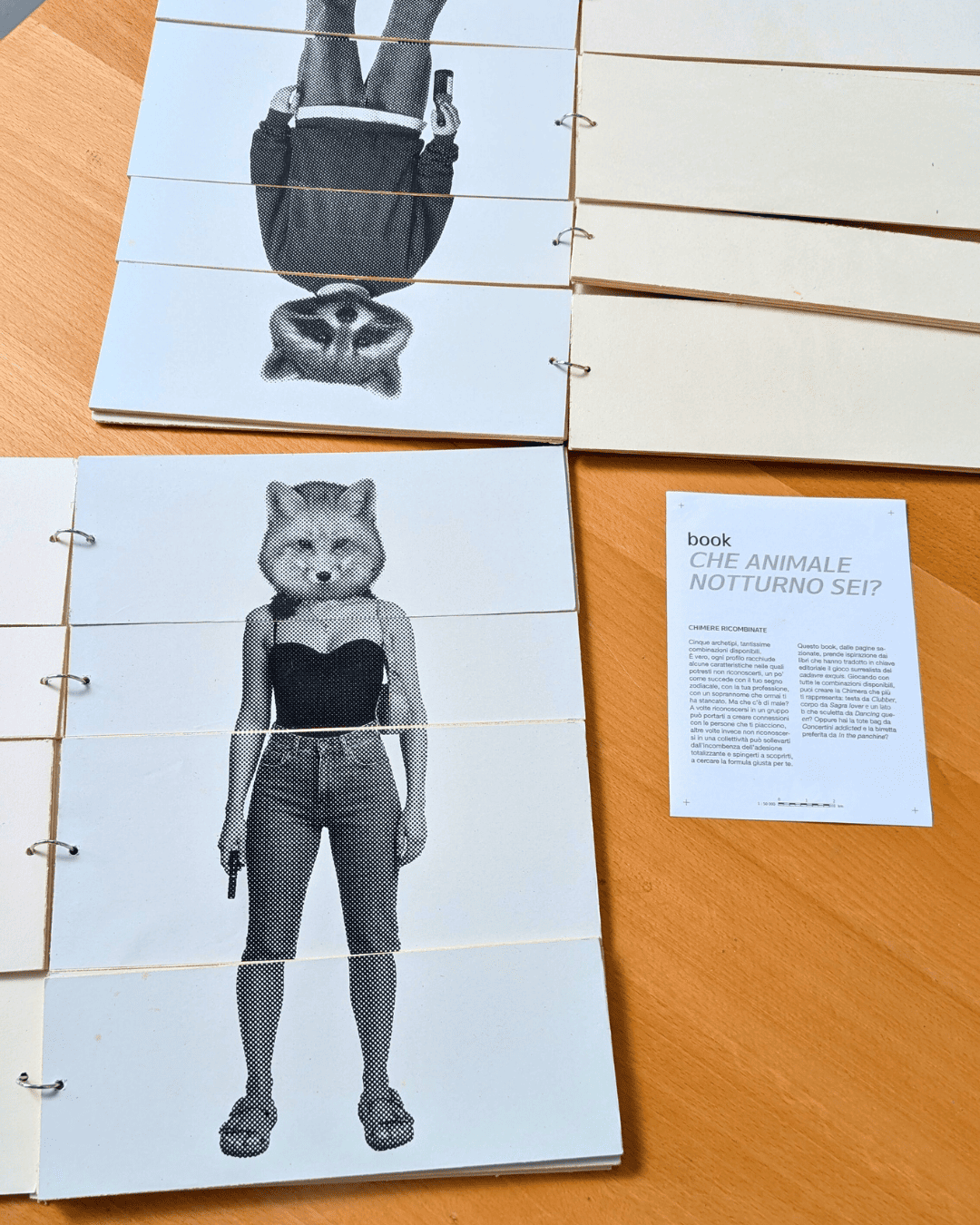 Libro interattivo con mix di immagini di animali e umani, intitolato Che animale notturno sei?.