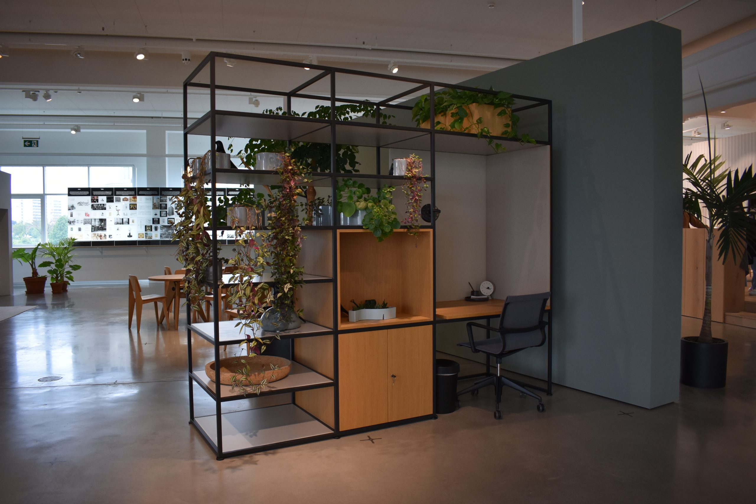 Ufficio moderno con scaffalatura divisoria e piante verdi, arredo minimalista e scrivania con sedia girevole.