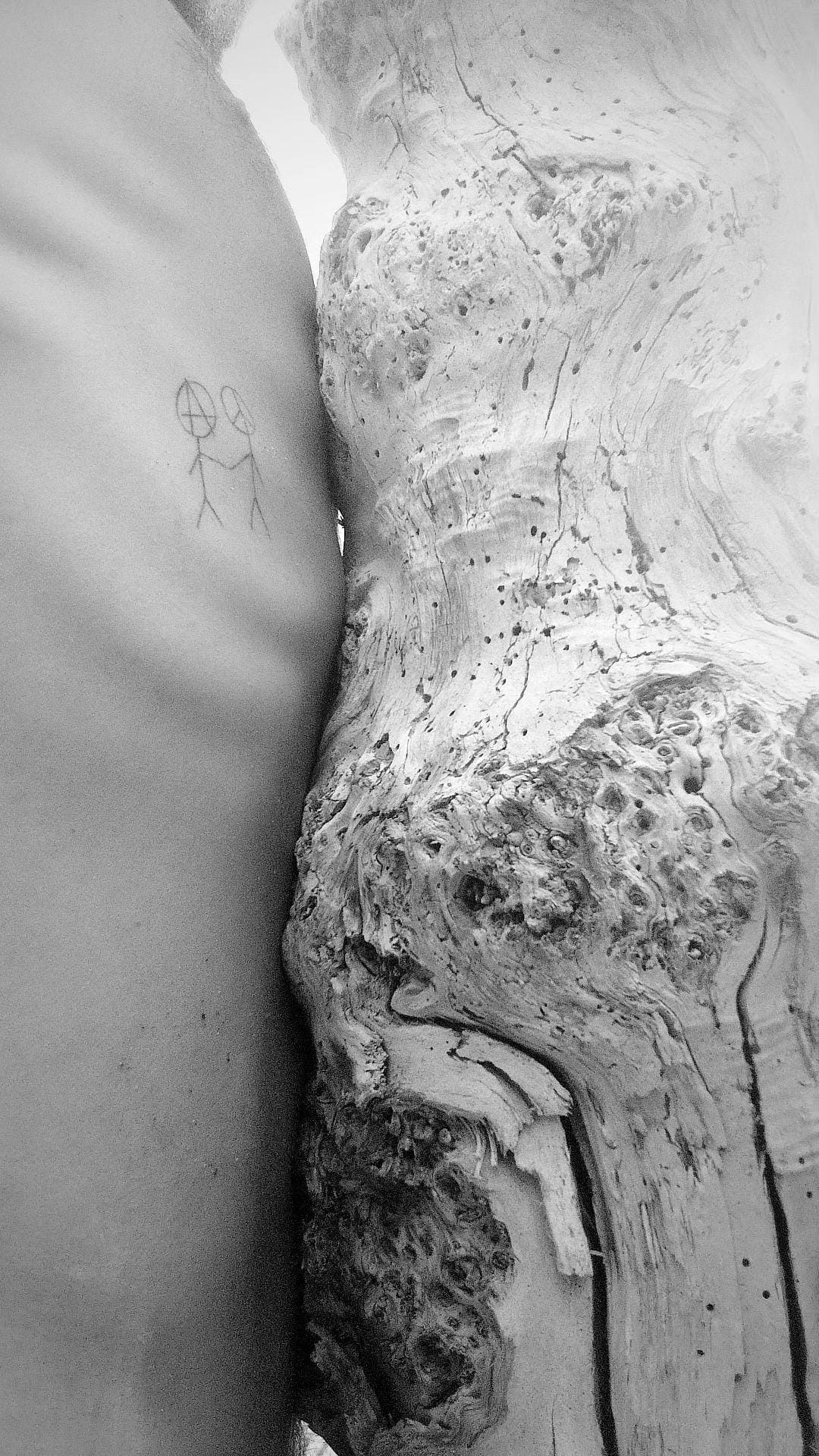 Foto: Materia Vibrante_Eterotopie_Leopoldine detail