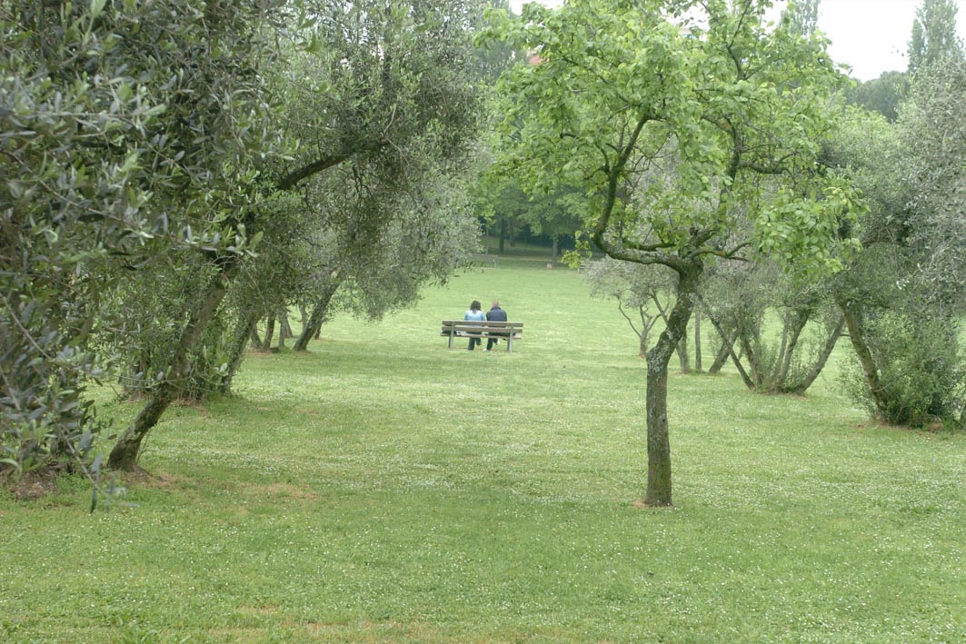 Una coppia seduta su una panchina in un parco verdeggiante, circondata da alberi e prato.