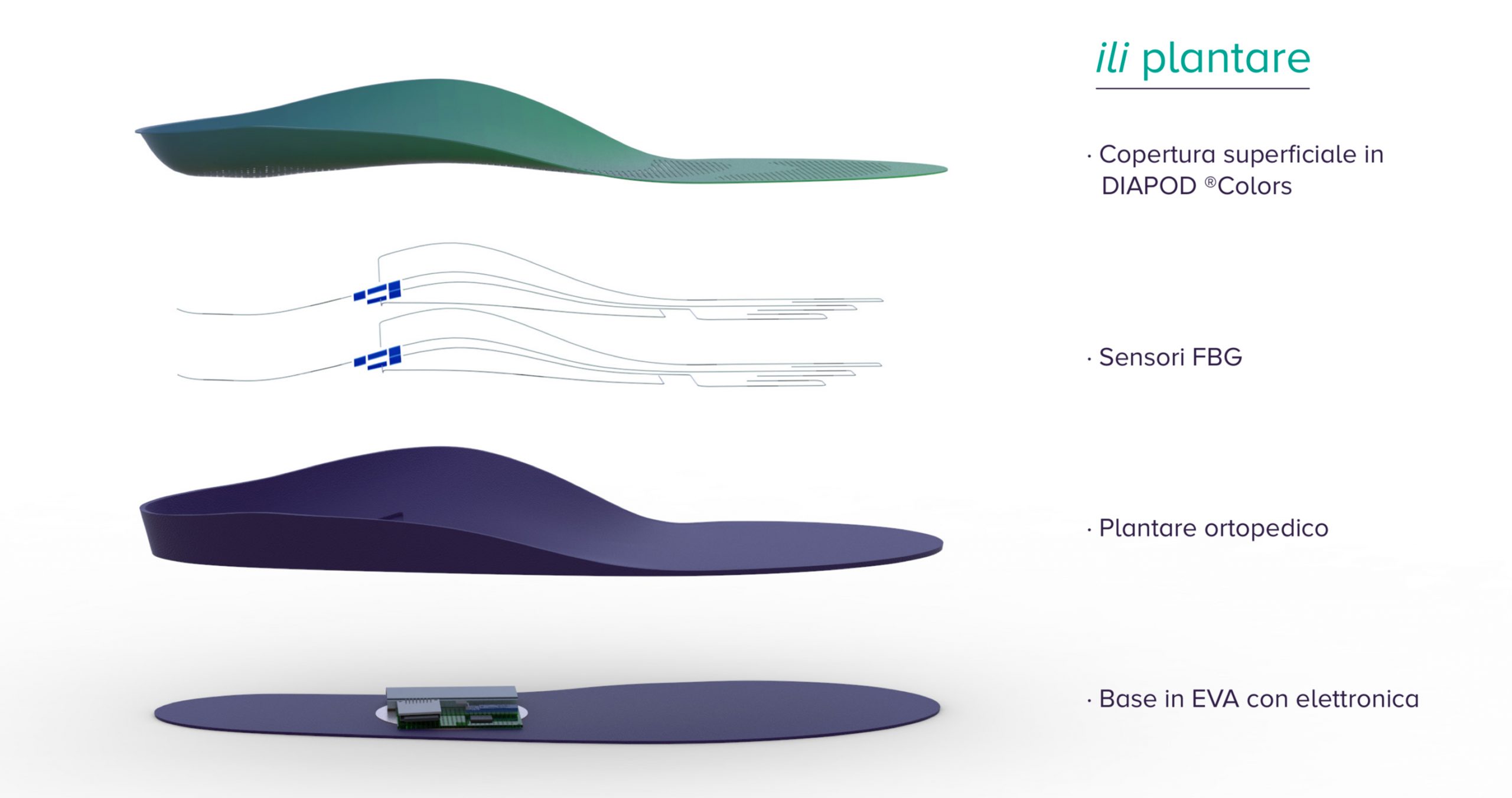 Schema rappresentazione plantare ILI
