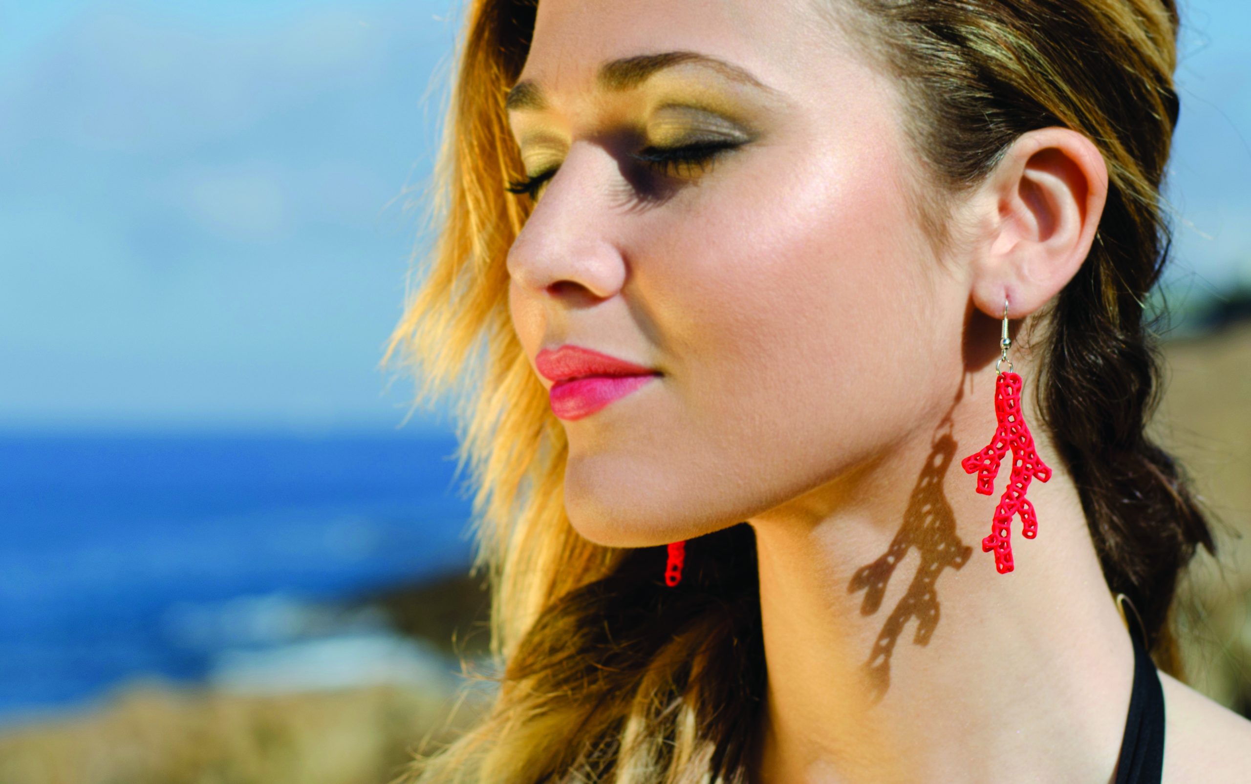 Il modello del progetto "Coraline"