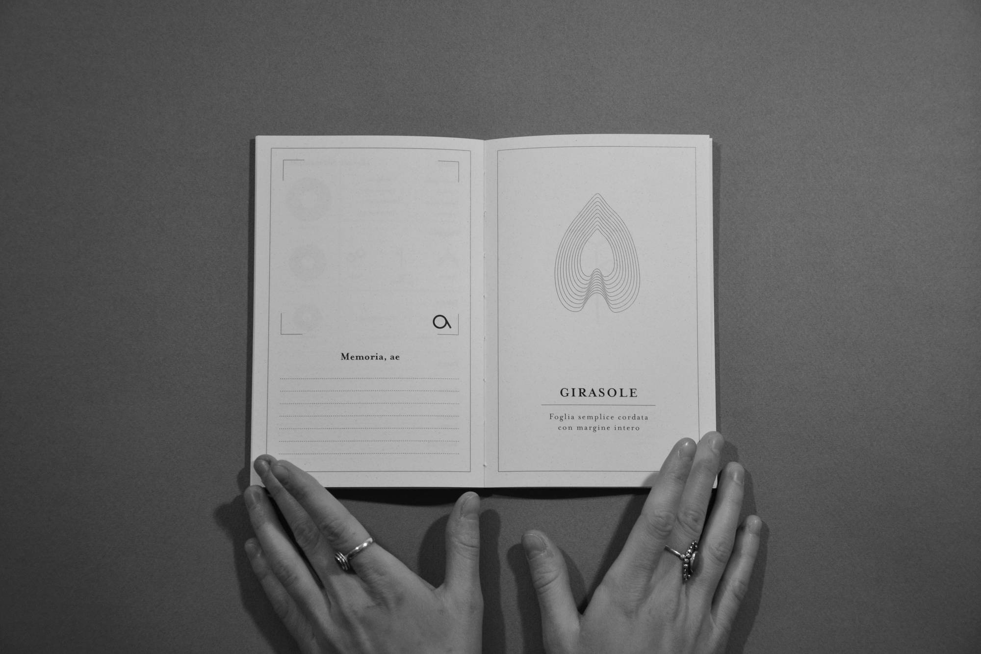 Mani con anelli tengono un libro aperto su una pagina con illustrazione e testo “Girasole” su foglia cordata.