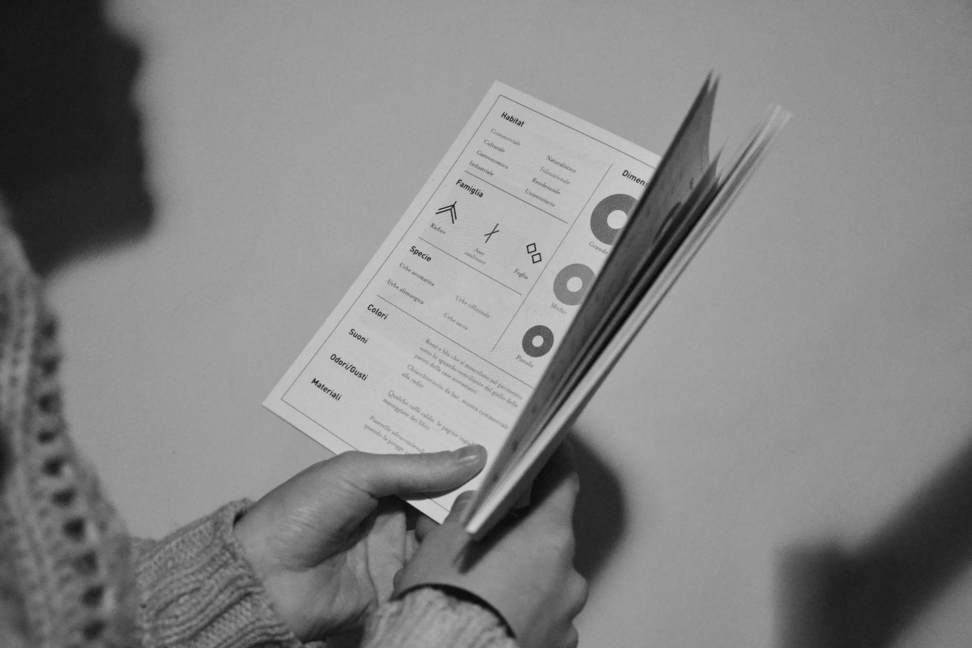 Mani tengono un libro aperto, focus su pagina con grafici e testo, in bianco e nero, sfondo sfocato.