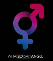 Simbolo di genere combinato, maschile e femminile, con sfumature blu e rosa, testo What sex is an angel.