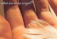 Mano con piuma bianca e testo what sex is an angel? sulla pelle. Atmosfera contemplativa e spirituale.